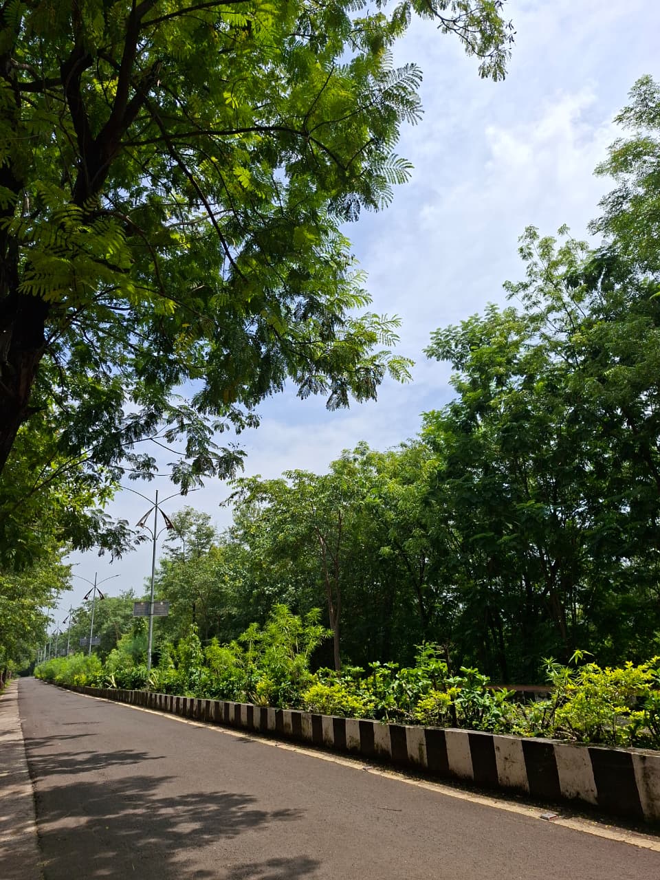 BU Bhopal Campus photo 6